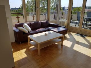 Pegasus Penthouse - 5