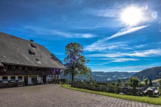 Urbanshof Ferienwohnungen - Hinterzarten - 8