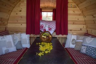 Camping-Erbenwald - Neubulach - 0