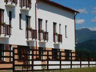 Pensiunea Cetatea Craiului - 3
