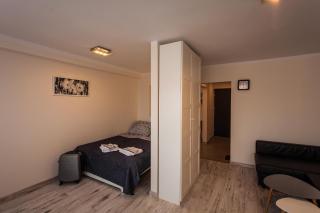 Zabrze Centrum Apartament - Zabrze - 8