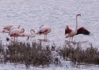 Holiday Home El Patio - 6