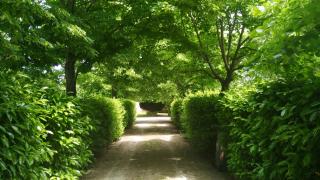 B&B I Sassetti - Foligno - 4