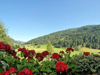 Haus Lindenkreuz - 4