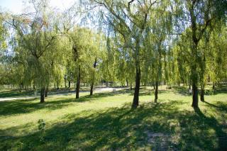 Dávodi Camping és Szabadidőpark - Dávod - 5