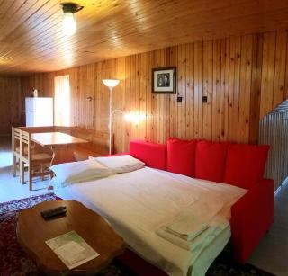Lelia Residence Apartments - Braşov - 4