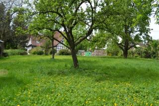 Ferienidyll Cleebourg - Cleebourg - 9
