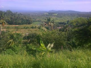 Pondok Alam Bukit - Tirtagangga - 0