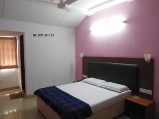 Hotel Silver Springs - Ahmedabad - 1