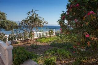 Sarnıç Butik Hotel - Behramkale - 7