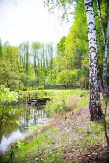 Kurort Mirowice - Mirowice - 6