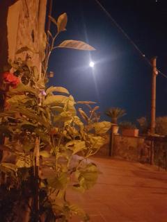 Affittacamere Adri - Uzzano - 5