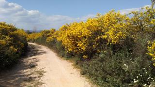 appartamento al mare vicino Olbia - Murta Maria - 1