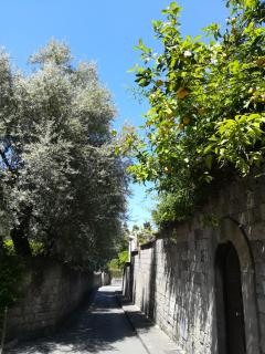 Muta House - Sorrento - 6