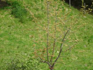 Hotel Restaurant de la Poste - 1