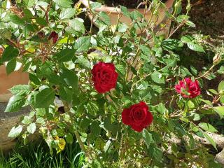 Agriturismo Il Solaio - 3