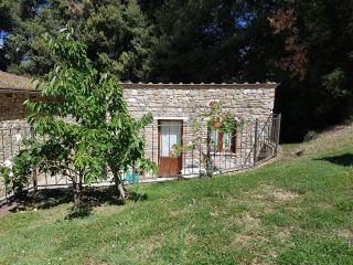 Agriturismo Il Solaio - 4