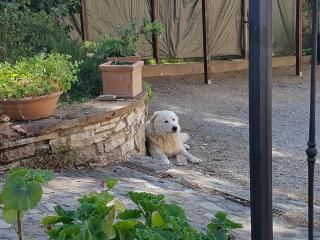 Agriturismo Il Solaio - 5