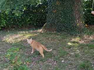 Agriturismo Il Solaio - 6