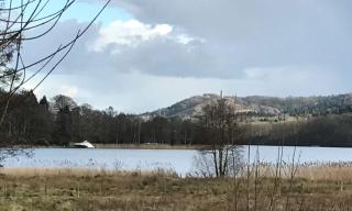 Julsø lejligheden - Silkeborg - 0