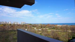 Funky Shell Apartment - 2