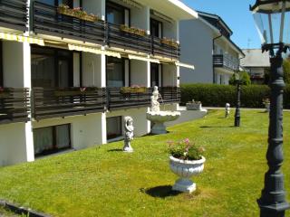 Hotel Rheingold Garni - Titisee-Neustadt - 8