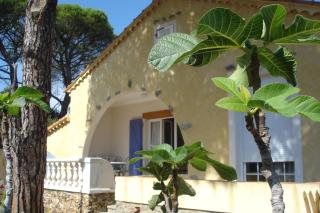 Les Grillons - Sainte-Maxime - 9