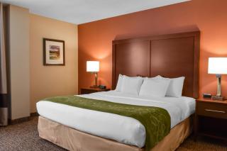 Comfort Suites Downtown Carlisle - Carlisle - 2