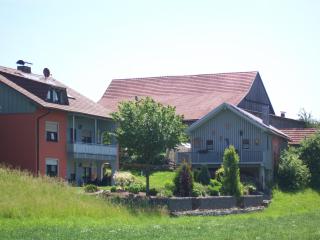 Ferienwohnung Haus Monika - Rötz - 6