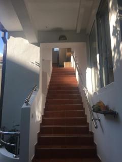 Apartments SIM - Budva - 4