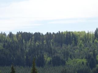 Hotel Restaurant de la Poste - 9