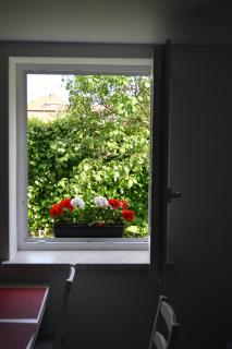 Apartment April - Bled - 1