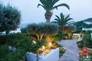 Hotel Elena - Alinda - 0