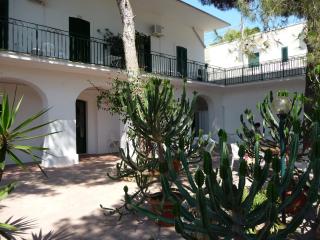 Villa Stasi B&B - Leuca - 9