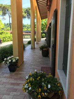 Appartamenti di Andrea - Valeggio sul Mincio - 3