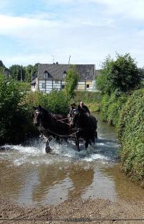 B&B Bij Tante Toos - Lemiers - 5
