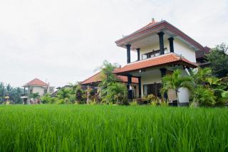 Sari Bungalow - Ubud - 3