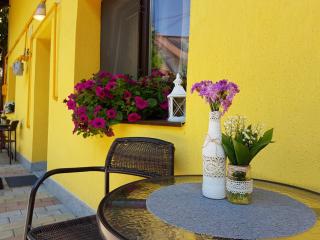 House Apartment Minerilor - Cluj-Napoca - 6