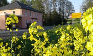Gaststätte & Pension Jägerwäldchen - 1