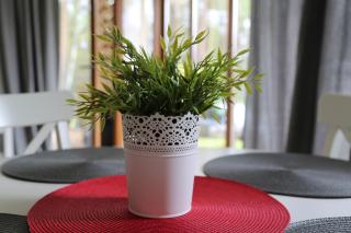 Apartament Mezuvio Baltic Park - Stegna - 5
