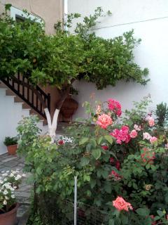 Sofia's Garden Studios - Skopelos Town - 4