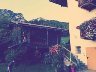 Apartments Dilln Gütl - 4