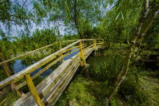 Danube Homestead - Vylkove - 3