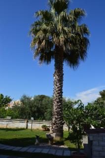 Biblos e Mare - 6