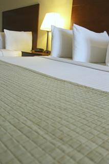 Southern Inn & Suites Lamesa - Lamesa - 7