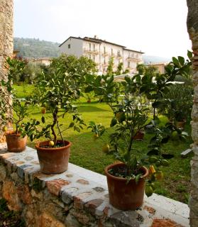 Hotel Belvedere - Torri del Benaco - 9