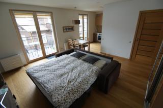 Apartment Hanna - Druskininkai - 3