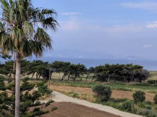 Blue Nest Hotel - Tigaki - 7