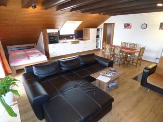 Appartment am Waldmattensee - Lahr - 2