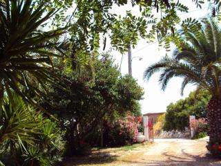 Irini Studios - Plomari - 8